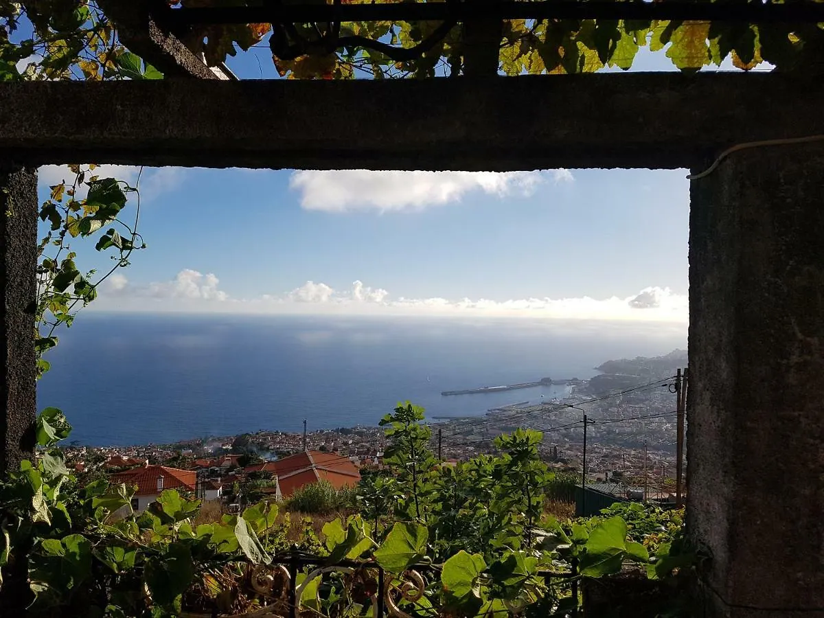 City View Gardens II Funchal  Portugal